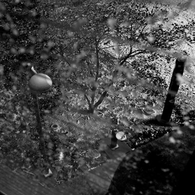 ICY WINDOW VIEW  2024